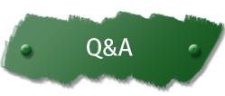 Q&A